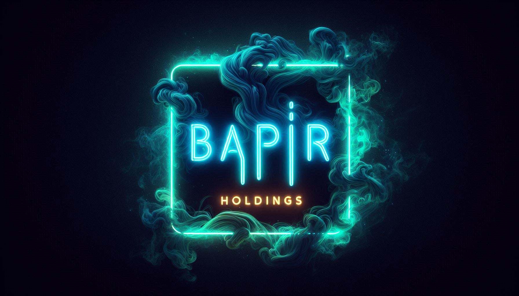 Bapir Holdings Logo